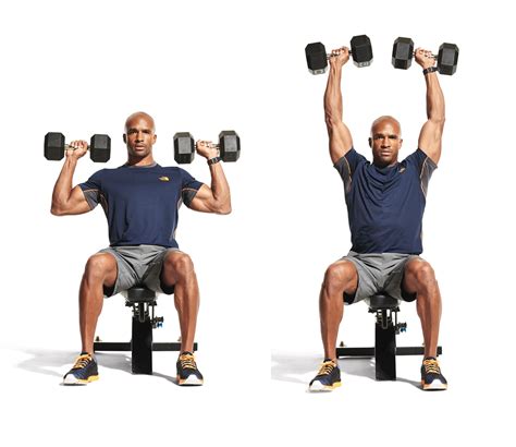 The seated dumbbell overhead press is a compound movement which builds muscle and strength in the anterior deltoids, or front deltoids. It’s a very effective …